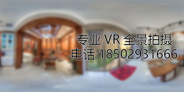 波莲镇VR全景技术在未来可能的发展方向和应用领域?